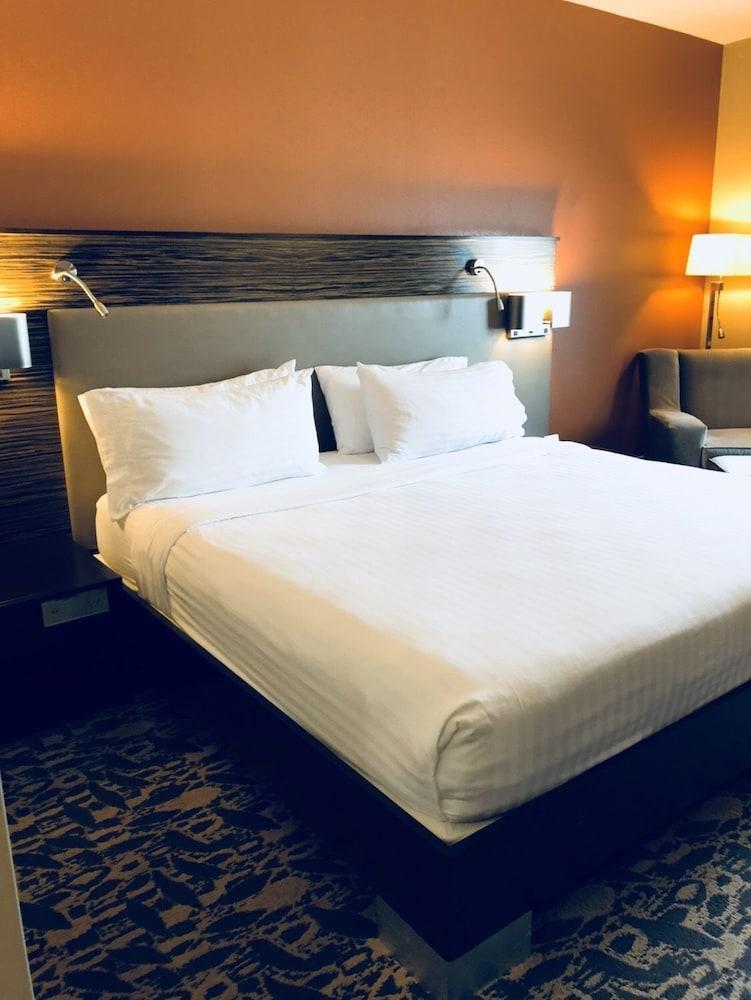 Holiday Inn Express & Suites North Dallas At Preston By Ihg Zewnętrze zdjęcie